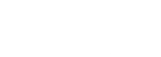 Strive Business Solutions